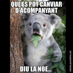 QUE ES POT CANVIAR D'ACOMPANYANT DIU LA NOE...
