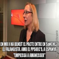 EN MR X HA BENEïT EL PACTE ENTRE EN SàNCHEZ I EL FALANGISTA. AMB EL PPSOEC'S, A ESPANYA "EMPIESSA A AMANESSER"