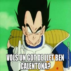 VOLS UN GOT DE LLET BEN CALENTONA?