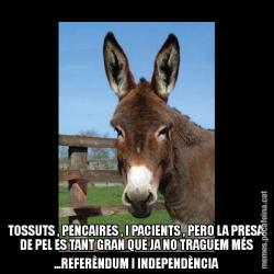 TOSSUTS , PENCAIRES , I PACIENTS , PERO LA PRESA DE PEL ES TANT GRAN QUE JA NO TRAGUEM MÉS ...REFERÈNDUM I INDEPENDÈNCIA