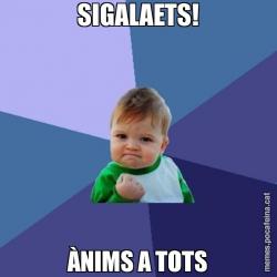 SIGALAETS! ÀNIMS A TOTS