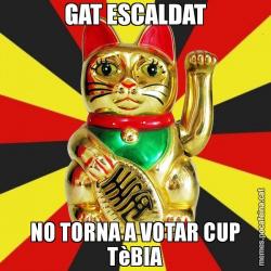 GAT ESCALDAT NO TORNA A VOTAR CUP TèBIA