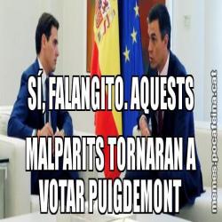 SÍ, FALANGITO. AQUESTS MALPARITS TORNARAN A VOTAR PUIGDEMONT