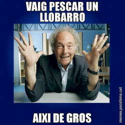 VAIG PESCAR UN LLOBARRO AIXI DE GROS