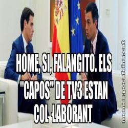 HOME, SI, FALANGITO. ELS "CAPOS" DE TV3 ESTAN COL·LABORANT