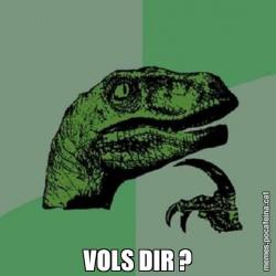 VOLS DIR ?