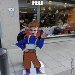 FELI