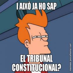 I AIXÒ JA HO SAP EL TRIBUNAL CONSTITUCIONAL?