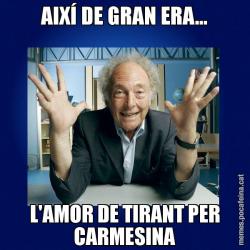 AIXÍ DE GRAN ERA... L'AMOR DE TIRANT PER CARMESINA