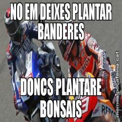 NO EM DEIXES PLANTAR BANDERES DONCS PLANTARE BONSAIS