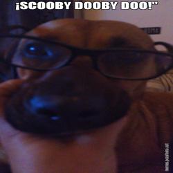 ¡SCOOBY DOOBY DOO!"