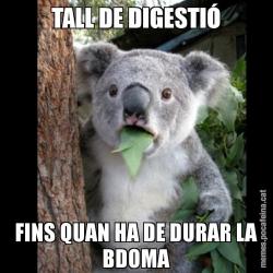 TALL DE DIGESTIÓ FINS QUAN HA DE DURAR LA BDOMA