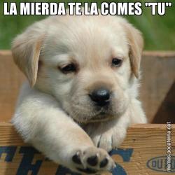 LA MIERDA TE LA COMES "TU"