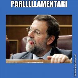 PARLLLLLAMENTARI