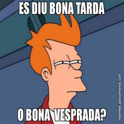 ES DIU BONA TARDA O BONA  VESPRADA?