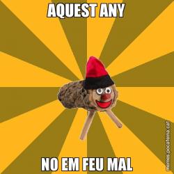 AQUEST ANY NO EM FEU MAL