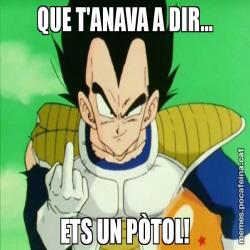 QUE T'ANAVA A DIR... ETS UN PÒTOL!