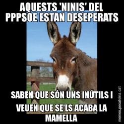 AQUESTS 'NINIS' DEL PPPSOE ESTAN DESEPERATS SABEN QUE SÓN UNS INÚTILS I VEUEN QUE SE'LS ACABA LA MAMELLA