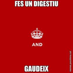 FES UN DIGESTIU GAUDEIX