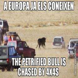 A EUROPA JA ELS CONEIXEN THE PETRIFIED BULL IS CHASED BY 4X4S