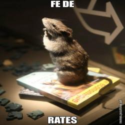 FE DE RATES