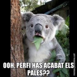 OOH, PERFI HAS ACABAT ELS PALÉS??