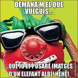 DEMANA'M EL QUE VULGUIS... ...QUE JO ET POSARÉ IMATGES D'UN ELEFANT ALBÍ! HEHE!
