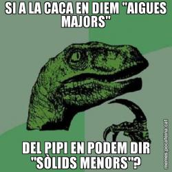SI A LA CACA EN DIEM "AIGUES MAJORS" DEL PIPI EN PODEM DIR "SÒLIDS MENORS"?