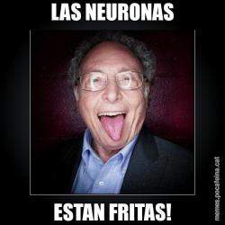 LAS NEURONAS ESTAN FRITAS!