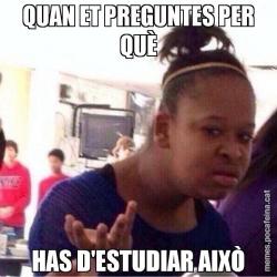 QUAN ET PREGUNTES PER QUÈ HAS D'ESTUDIAR AIXÒ