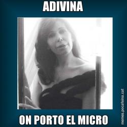 ADIVINA ON PORTO EL MICRO
