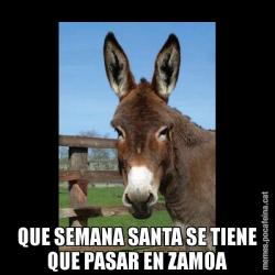 QUE SEMANA SANTA SE TIENE QUE PASAR EN ZAMOA