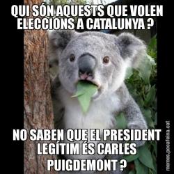 QUI SÓN AQUESTS QUE VOLEN ELECCIONS A CATALUNYA ?  NO SABEN QUE EL PRESIDENT LEGÍTIM ÉS CARLES PUIGDEMONT ?