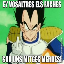 EY VOSALTRES ELS FACHES SOU UNS MITGES MERDES!