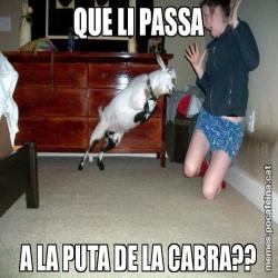 QUE LI PASSA A LA PUTA DE LA CABRA??