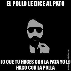 EL POLLO LE DICE AL PATO LO QUE TU HACES CON LA PATA YO LO HAGO CON LA POLLA