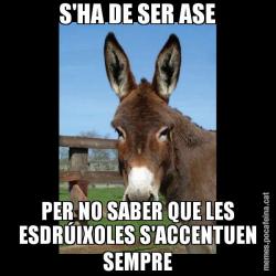 S'HA DE SER ASE PER NO SABER QUE LES ESDRÚIXOLES S'ACCENTUEN SEMPRE