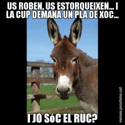 US ROBEN, US ESTORQUEIXEN... I LA CUP DEMANA UN PLA DE XOC... I JO SóC EL RUC?