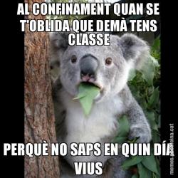 AL CONFINAMENT QUAN SE T'OBLIDA QUE DEMÀ TENS CLASSE PERQUÈ NO SAPS EN QUIN DÍA VIUS