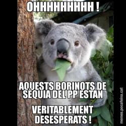 OHHHHHHHHH ! AQUESTS BORINOTS DE SÈQUIA DEL PP ESTAN VERITABLEMENT DESESPERATS !