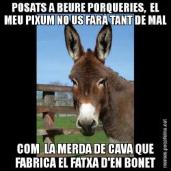 POSATS A BEURE PORQUERIES,  EL MEU PIXUM NO US FARÀ TANT DE MAL COM  LA MERDA DE CAVA QUE FABRICA EL FATXA D'EN BONET