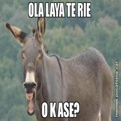 OLA LAYA TE RIE  O K ASE?