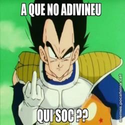A QUE NO ADIVINEU  QUI SOC ??