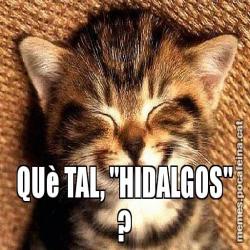 QUè TAL, "HIDALGOS" ?