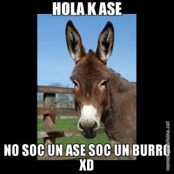 HOLA K ASE NO SOC UN ASE SOC UN BURRO XD
