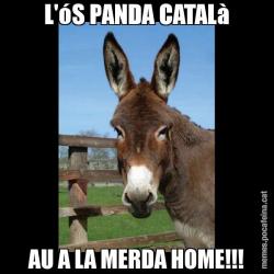 L'óS PANDA CATALà AU A LA MERDA HOME!!!