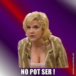 NO POT SER !