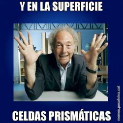 Y EN LA SUPERFICIE CELDAS PRISMÁTICAS