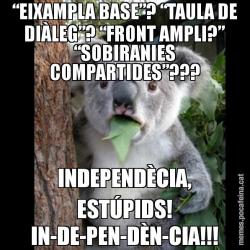 “EIXAMPLA BASE”? “TAULA DE DIÀLEG”? “FRONT AMPLI?” “SOBIRANIES COMPARTIDES”??? INDEPENDÈCIA, ESTÚPIDS! IN-DE-PEN-DÈN-CIA!!!