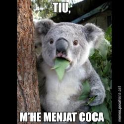 TIU, M'HE MENJAT COCA